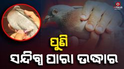 Basudebpur Forest Department rescued the suspected Para