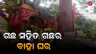 cuttack tree marriage program