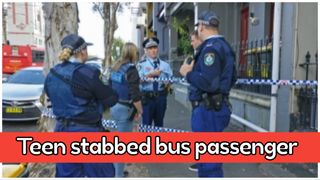 Teen arrested after stabbing bus passenger in Sydney