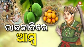 The Mughals encouraged both the planting of large orchards of mangoes