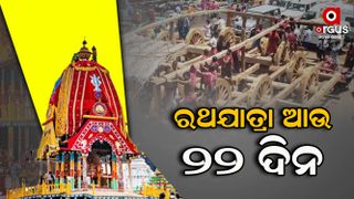 just-22-days-left-for-the-world-famous-ratha-yatra preparation