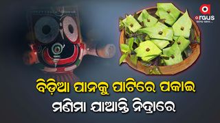 lord jagannath love bidia pana