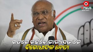 Mallikarjun Kharge To Stay On As Leader Of Opposition