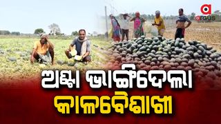 Watermelon farmers warn of mass suicide