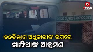Mafia attack on forest officials