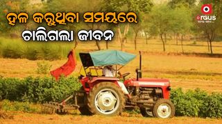 Life passed away while plowing in the fields by tractor  in mayurbhanj