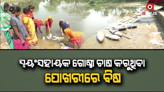 Self-help group women killed fish by throwing poison in their fish pond-in-kendrapada-rajkanika