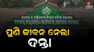 cuttack elephant attack