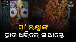 lord Kalia's marriage celebrated in grandly