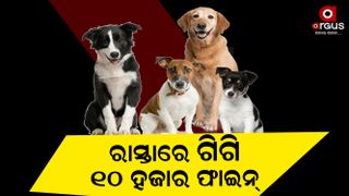 Bmc new pet animal guidelines is horrible