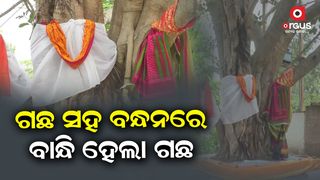 A unique tradition. A unique wedding. The tree was tied to the tree.