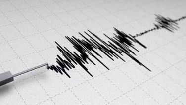 Earthquake Of 4.6 Magnitude Jolts Afghanistan