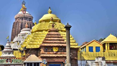 Paita Lagi Rituals Of Lord Jagannath Today; Darshan Restricted For 5 Hours