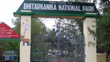 Bhitarkanika Shut From Today For Crocodile Breeding; To Reopen On Aug 1