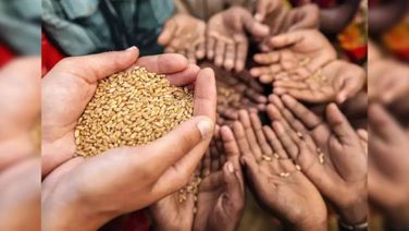 Cabinet Approves Garib Kalyan Food Grain Programme For Another 5 Years