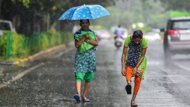 Fresh Spell Of Rain Brings Relief To Odisha People