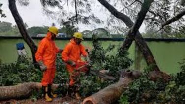 Cyclone Dana: Restoration And Relief Work Begins In Bhadrak