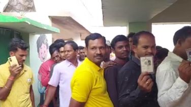 Odisha Records 21.07 pc Voter Turnout Till 11 AM
