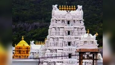 Lab Report Confirms Presence Of Animal Fat In Tirumala Laddu, Claims TDP