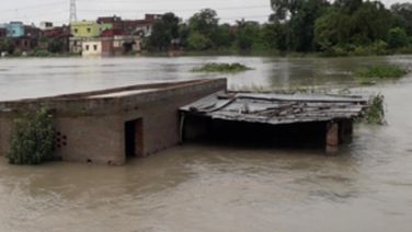 Bihar: Over 12 Houses Submerged, Ganga River Flowing Above Danger Mark