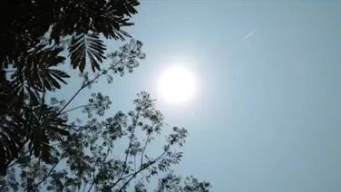 Heatwave Continues To Grapple Odisha; Bhawanipatna Records Maximum Temp At 36.2°C By 8:30 AM