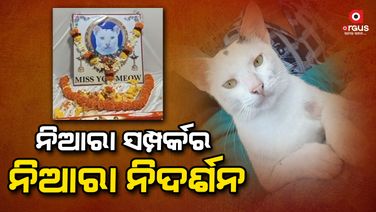ମଣିଷ ଭଳି ପଶୁର ହେଲା ଦଶାହ କ୍ରିୟା