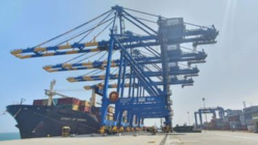 Adani Ports Clocks 42 pc Surge In Net Profit At Rs 5,520 Crore In H1 FY25