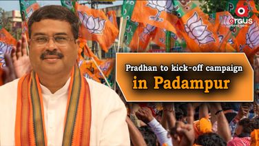 Padampur bypoll: Pradhan to campaign for BJP candidate from tomorrow
