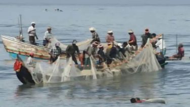 Sri Lankan Navy Apprehends 26 Indian Fishermen, Seizes Four Boats