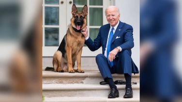 Biden's Dog Bites Secret Service Agent