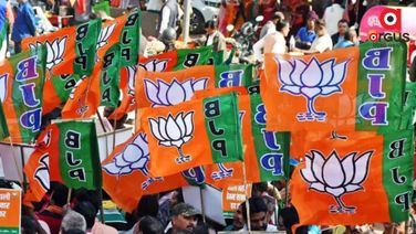BJP wins both seats in UP Vidhan Parishad by-polls