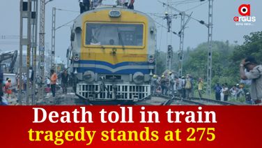 Death toll in train tragedy stands at 275, says Odisha govt