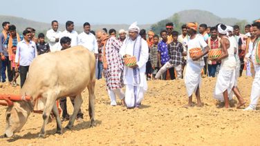 Akshaya Tritiya: Union Minister Dharmendra Pradhan Performs ‘Akhi Muthi Anukula’ Ritual In Sambalpur