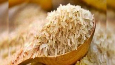 Indian Basmati Industry’s Sales To Grow 4 Pc To Hit Record Rs 70,000 cr In FY25