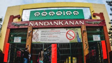 Cyclone Dana: Nandankanan Zoo To Remain Closed For Two Days