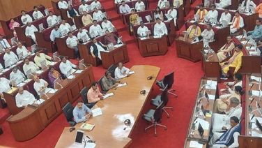 Odisha Assembly Adjourned Till 4 PM As Oppn Continues Protest Over Mango Kernel Deaths