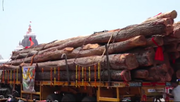 Lack Of Logs For Puri Raths Reflects Odisha Government's 'Negligence'