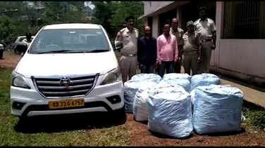 ଦୁଇଟି ଥାନା ଅଞ୍ଚଳରୁ ୭୧୧ କେଜି ଗଞ୍ଜେଇ ଜବତ
