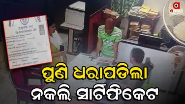 ଗ୍ରାମୀଣ ଡାକ ସେବକ ପଦବୀ ପାଇଁ ନକଲି ସାର୍ଟିଫିକେଟ ଦେଇଥିଲେ ମହିଳା