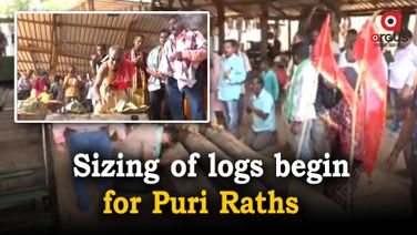 Sizing of wood logs for Puri Raths begins at Cuttack sawmill