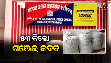 ୫ ଲକ୍ଷ ଟଙ୍କାର ଗଞ୍ଜେଇ ଜବତ, ପୋଲିସର ତଦନ୍ତ ଜାରି