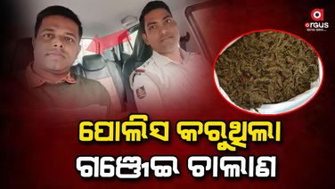 ଗଞ୍ଜେଇ ଚୋରା ଚାଲାଣର ମାଷ୍ଟର ମାଇଣ୍ଡ ହୋମଗାର୍ଡ