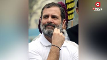 A day after conviction, Rahul disqualified from Lok Sabha