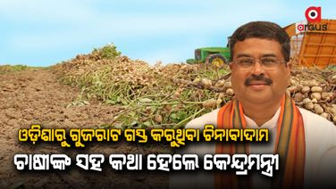 ଓଡ଼ିଶାର ଚିନାବାଦାମ ଚାଷୀଙ୍କ ପାଇଁ ବିଭିନ୍ନ ସୁଯୋଗ ସୃଷ୍ଟି କରିବା ଦିଗରେ ଗୁଜରାଟ ଯାତ୍ରା ବେଶ୍ ସହାୟକ ହେବ