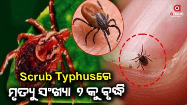 ସ୍କ୍ରବ ଟାଇଫସରେ ପୁଣି ଜଣଙ୍କର ମୃତ୍ୟୁ