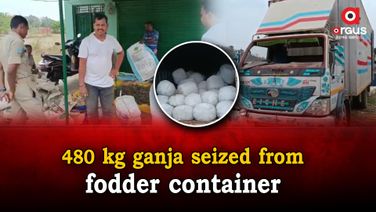 480 kg ganja seized, 2 arrested in Malkangiri
