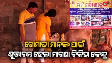 ରାଷ୍ଟ୍ରୀୟ ଗୋସେବା ପରିଷଦ ଓଡିଶା ପକ୍ଷରୁ ଗୋମାତା ମାନଙ୍କ ପାଇଁ ଶୁଭାରମ୍ଭ ହୋଇଛି