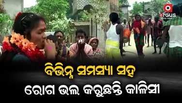 ଏବେ ବି ବଞ୍ଚିଛି କାଳିସୀ ପରମ୍ପରା