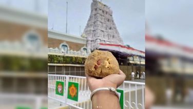 Ghee Supplied For Tirupati Laddus Not Made At TN Dairy, Reveals Document