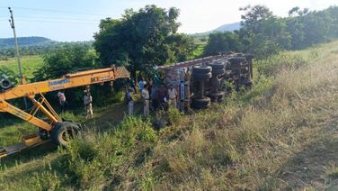 Truck Carrying Wild Animals Overturns In Telangana Escaped Crocs Recaptured